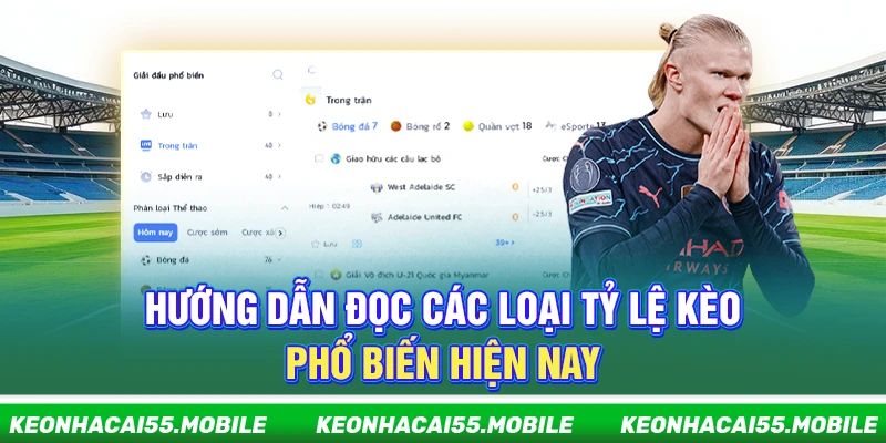 Kèo Nhà Cái Mobile ⭐️ Soi Tỷ Lệ Kèo, Keonhacai Trực Tiếp Tối Nay 13 Hướng dẫn đọc các loại tỷ lệ kèo phổ biến hiện nay